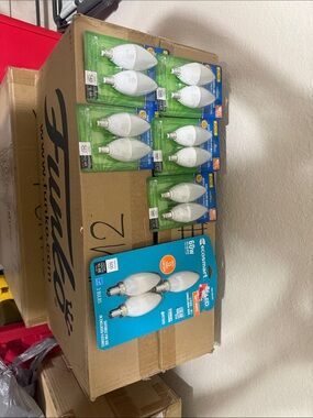 EcoSmart LED Candelabra Bulbs - White (Lot)